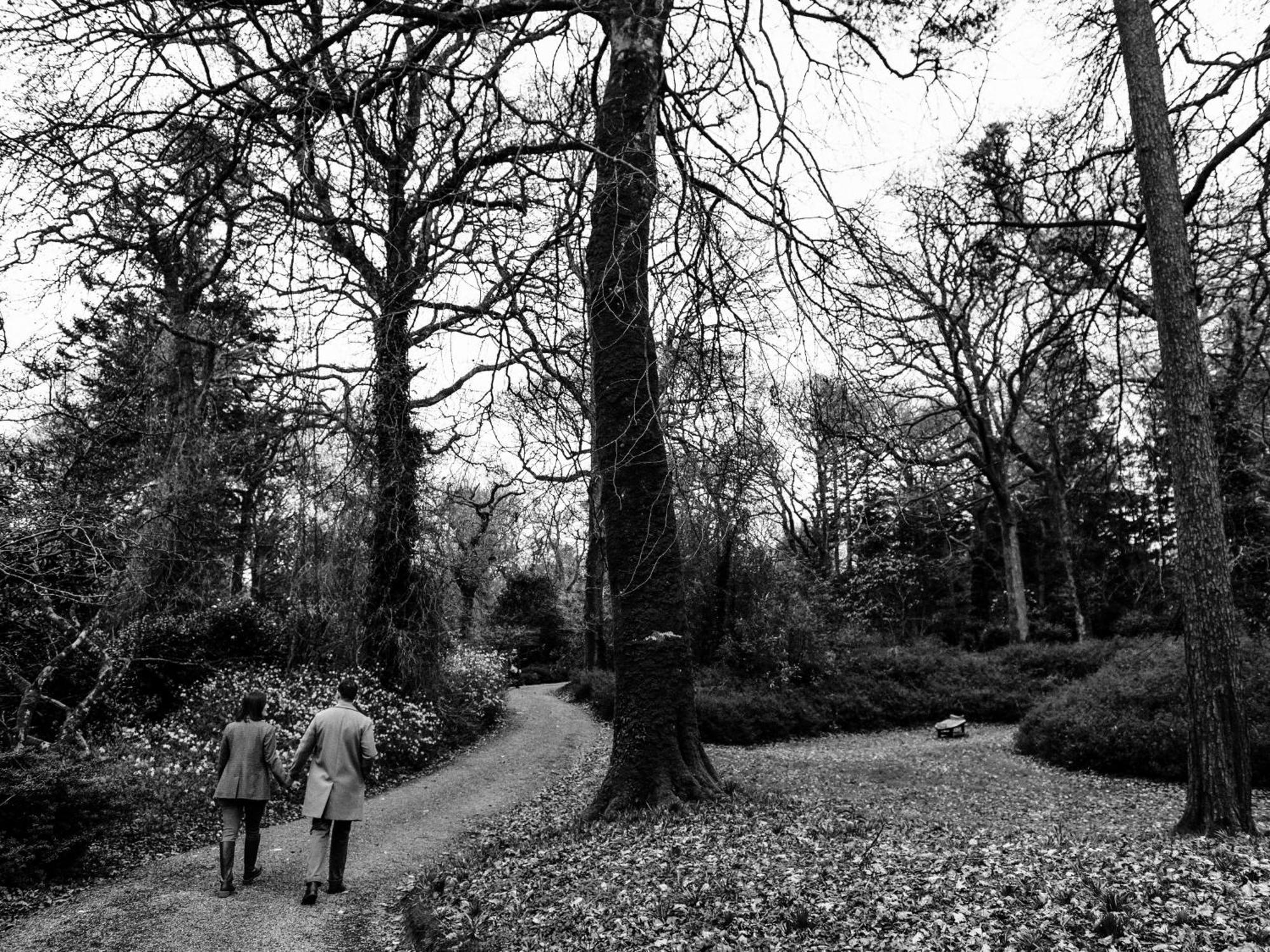 The Forest At Mount Congreve Gardens Kilmeaden Buitenkant foto