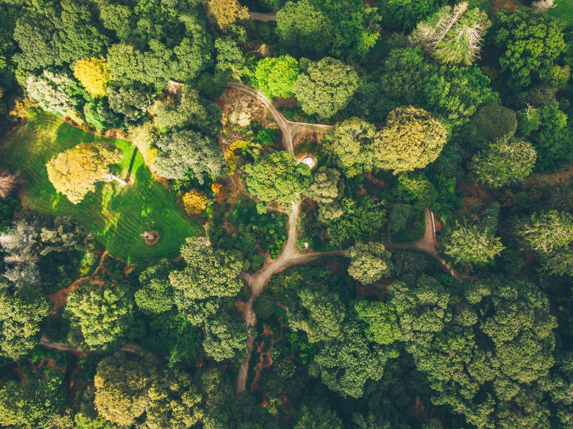 The Forest At Mount Congreve Gardens Kilmeaden Buitenkant foto