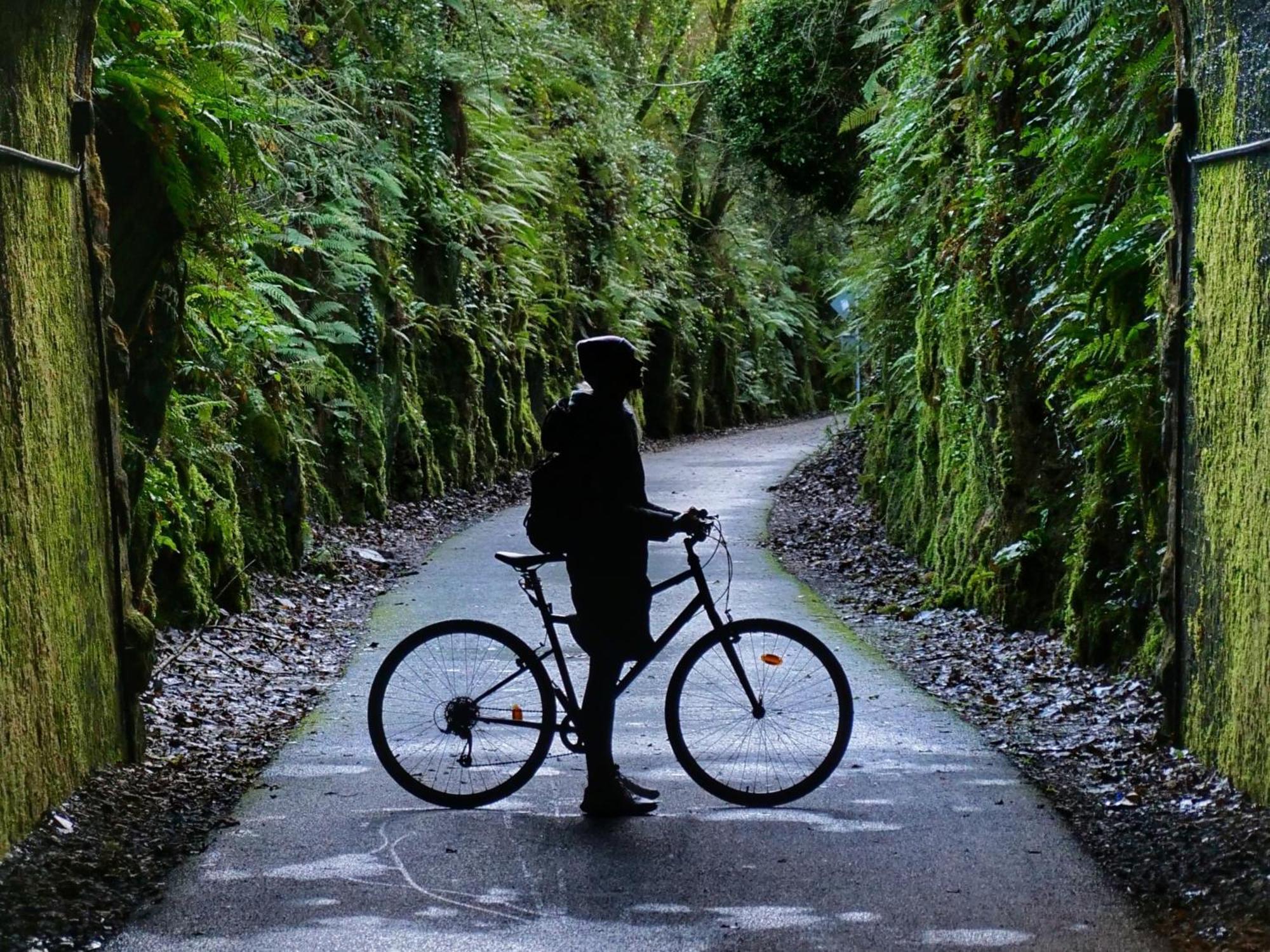 The Forest At Mount Congreve Gardens Kilmeaden Buitenkant foto