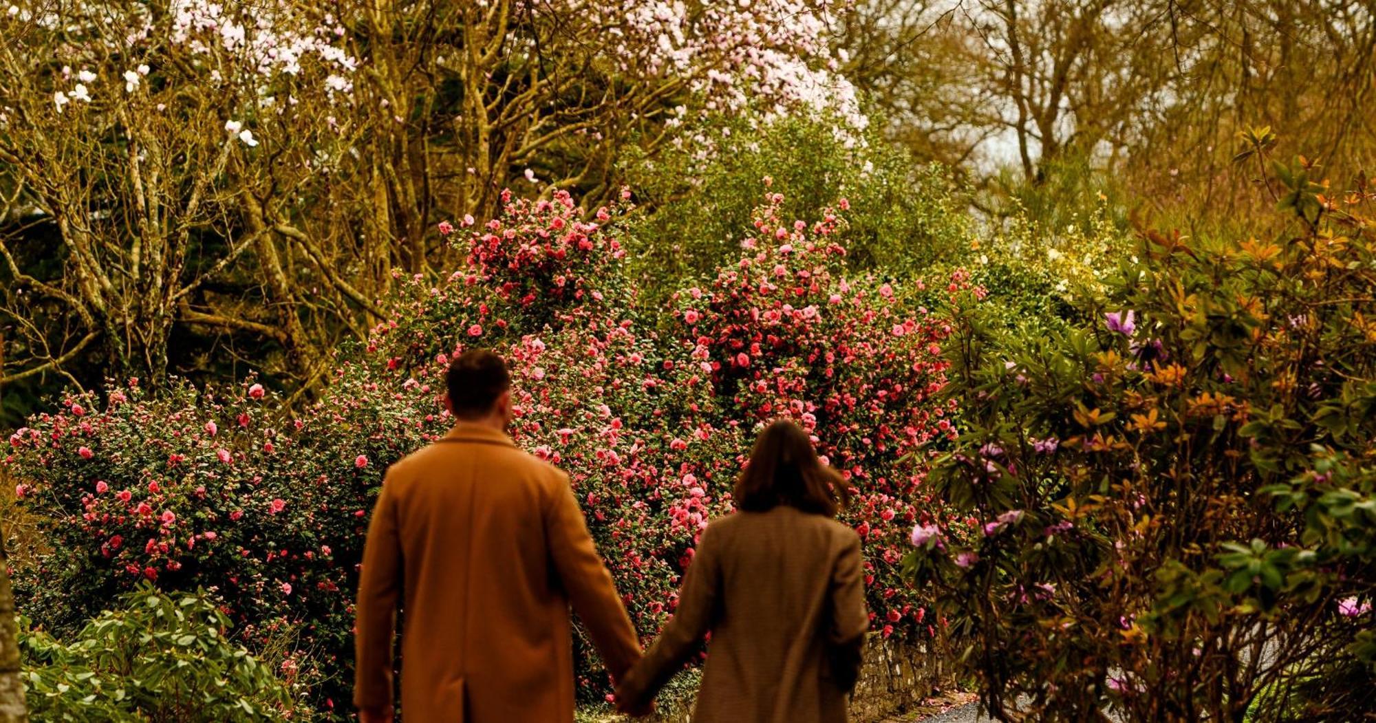 The Forest At Mount Congreve Gardens Kilmeaden Buitenkant foto